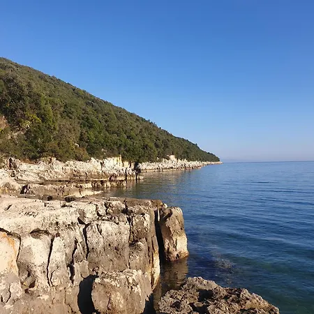 Pcela Divšići