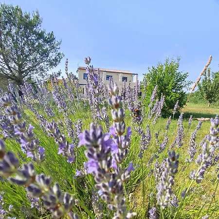Pcela Apartmán Divšići